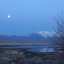 IMG_2939a