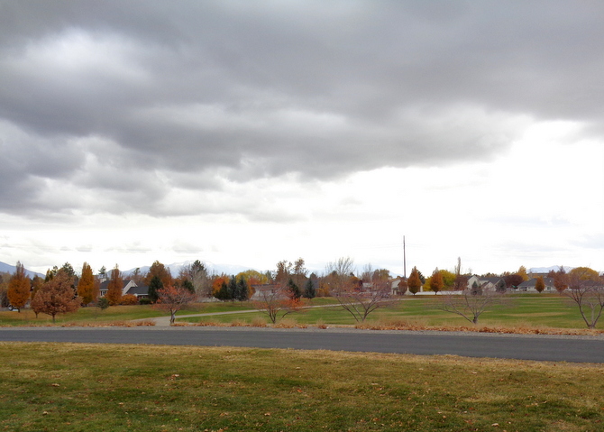 Image 01