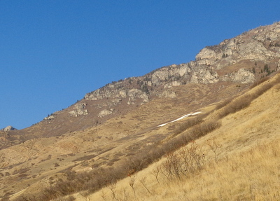 Image 01