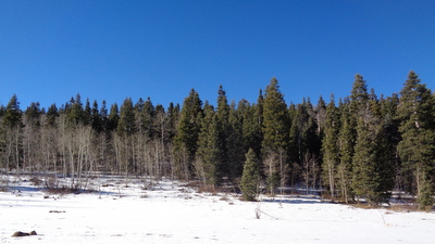 Image 01