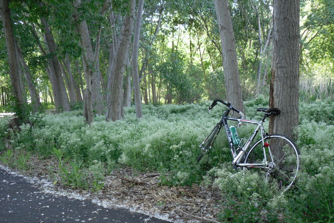 Image 01
