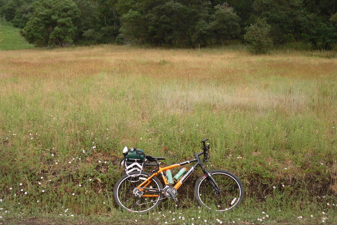 Image 01
