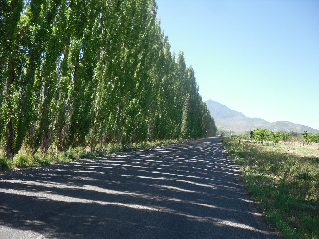 Image 01