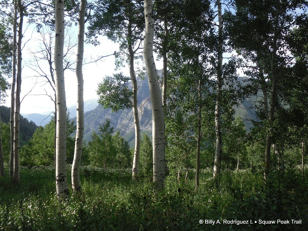 Image 01