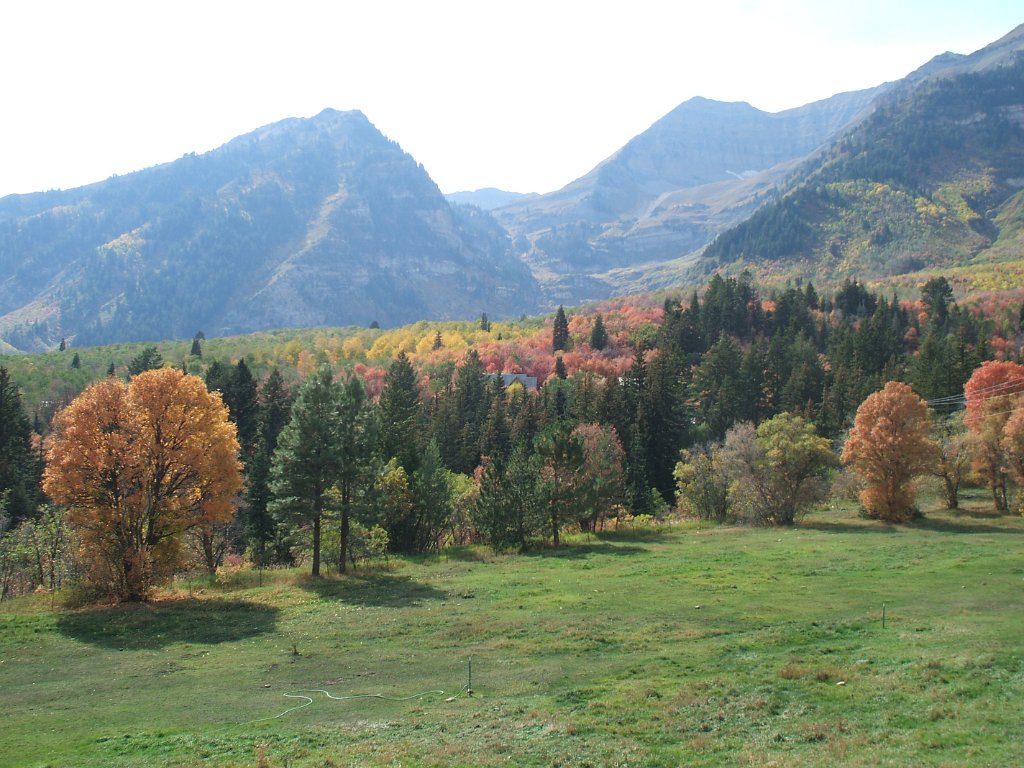 Image 01
