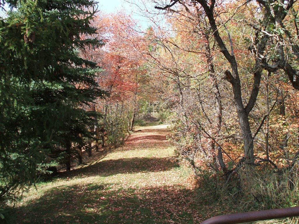 Image 01