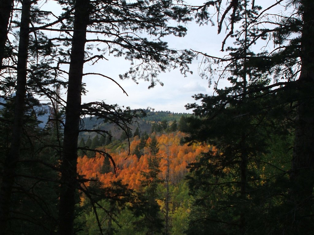 Image 01