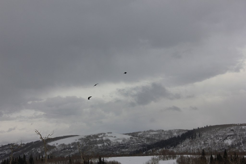 Image 01