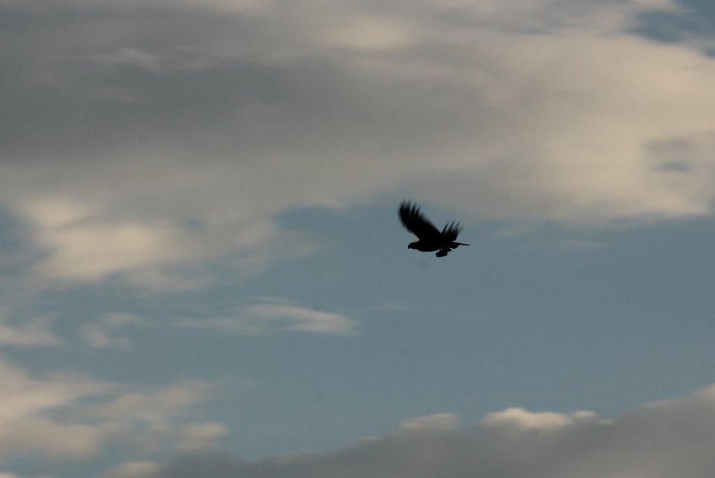 Image 01