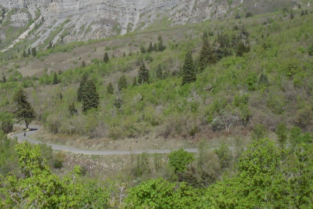 Image 01