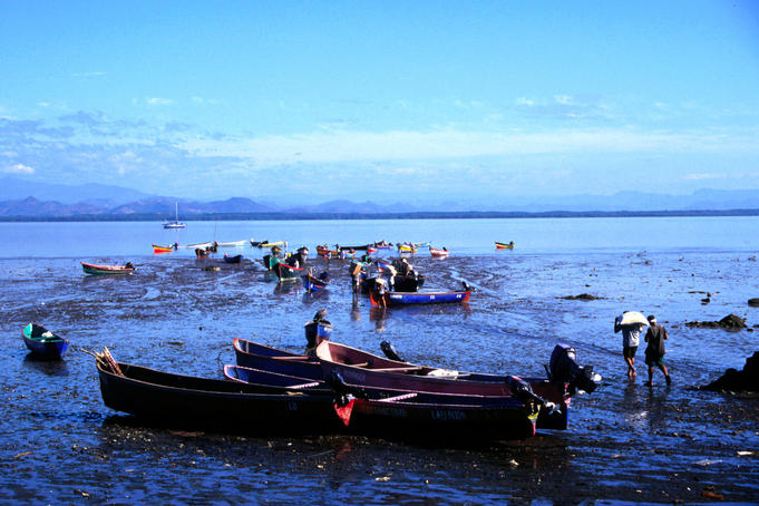 Image 01